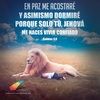 arredondo7954
